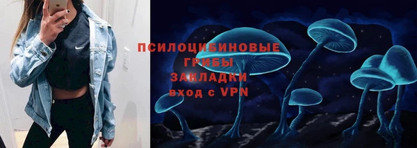 таблы Осинники