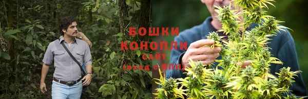 ГАЛЛЮЦИНОГЕННЫЕ ГРИБЫ Остров